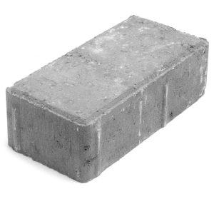 Paver 10 × 20 × 06 cm