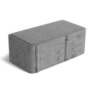 Paver 10 × 20 × 08 cm